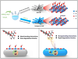 Graphical abstract: Regulation of coordination and doping environment via target molecular transformation for boosting selective photocatalytic ability