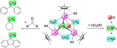 Graphical abstract: Rare-earth-metal half-sandwich complexes incorporating methyl, methylidene, and hydrido ligands