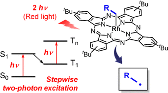 Graphical abstract: Two-photon, red light uncaging of alkyl radicals from organorhodium(iii) phthalocyanine complexes