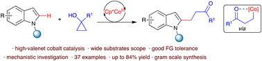 Graphical abstract: Cp*CoIII-catalyzed C2-alkylation of indole derivatives with substituted cyclopropanols