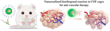 Graphical abstract: COF-based nanoreactors for click-activated prodrug delivery and precise anti-vascular therapy