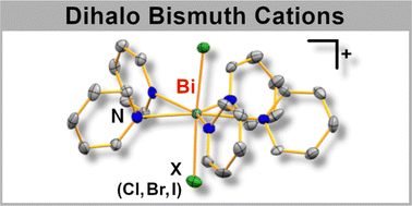 Graphical abstract: Dihalo bismuth cations: unusual coordination properties and inverse solvent effects in Lewis acidity