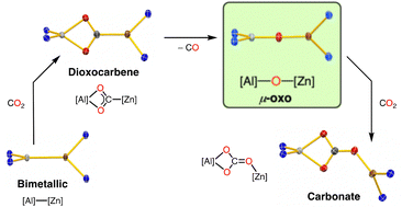 Graphical abstract: Isolating elusive ‘Al(μ-O)M’ intermediates in CO2 reduction by bimetallic Al–M complexes (M = Zn, Mg)