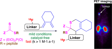 Graphical abstract: Hetero-Diels–Alder click reaction of dithioesters for a catalyst-free indirect 18F-radiolabelling of peptides