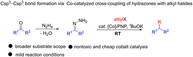 Graphical abstract: Cobalt-catalyzed cross-coupling of Umpolung carbonyls with alkyl halides under mild conditions