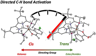 Graphical abstract: Formation of distinct iron hydrides via mechanistic divergence in directed C–H Bond activation of aryl ketones, esters and amides