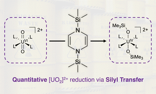 Graphical abstract: Quantitative U [[double bond, length as m-dash]] O bond activation in uranyl complexes via silyl radical transfer