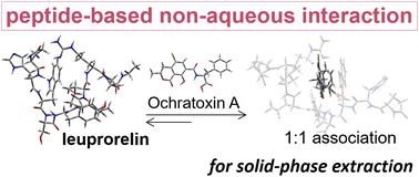 Graphical abstract: Non-aqueous bonding of leuprorelin to ochratoxin A for peptide-based solid-phase extraction