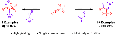 Graphical abstract: A diversity oriented clicking strategy: the stereoselective synthesis of highly-functionalised olefins from 2-substituted-alkynyl-1-sulfonyl fluorides