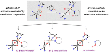 Graphical abstract: Diverse reactivity of an iron–aluminium complex with substituted pyridines