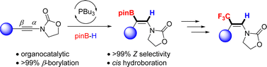Graphical abstract: Phosphine-catalyzed regio- and stereo-selective hydroboration of ynamides to (Z)-β-borylenamides
