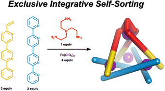 Graphical abstract: Synthesis and characterisation of an integratively self-sorted [Fe4L6]8+ tetrahedron