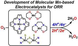 Graphical abstract: Homogeneous catalysis of dioxygen reduction by molecular Mn complexes