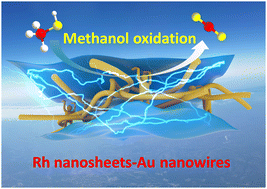Graphical abstract: Ultrathin rhodium nanosheet–gold nanowire nanocomposites for alkaline methanol oxidation reaction