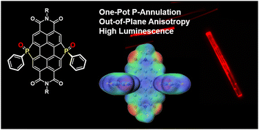 Graphical abstract: One-pot heteroannulation toward phosphaperylene diimides with high luminescence and out-of-plane anisotropy