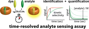 Graphical abstract: Analyte sensing with unselectively binding synthetic receptors: virtues of time-resolved supramolecular assays