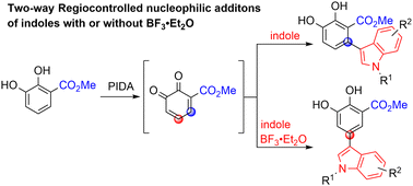 Graphical abstract: Oxidative two-way regiocontrolled coupling of 3-methoxycarbonylcatechol and indoles to arylindoles