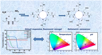 Graphical abstract: Stimuli-responsive fluorescent nanogel: a nonconventional donor for ratiometric temperature and pH sensing