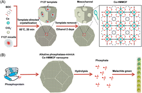 Graphical abstract: Hierarchically mesoporous Ce-based MOFs with enhanced alkaline phosphatase-like activity for phosphorylated biomarker sensing