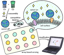 Graphical abstract: A heteromultivalent host–guest sensor array for cell recognition and discrimination