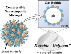Graphical abstract: Durable gelfoams stabilized by compressible nanocomposite microgels