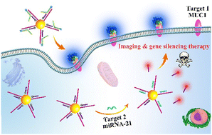 Graphical abstract: A DNA–Au nanomachine activated by dual types of biomarkers for multi-site imaging and gene silencing