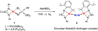 Graphical abstract: Synthesis and reactivity of a μ-1,2-dinitrogen dinickel(ii) complex with a C–H activated silaamidinate pincer ligand
