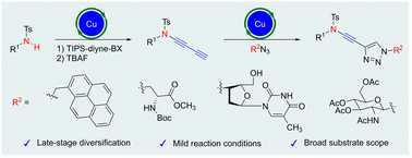Graphical abstract: Late-stage diversification strategy for synthesizing ynamides through copper-catalyzed diynylation and azide–alkyne cycloaddition