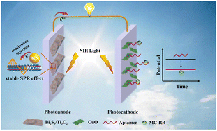 Graphical abstract: Plasmonic heterostructure Bi2S3/Ti3C2 with continuous photoelectron injection mediated near-infrared self-powered photoelectrochemical sensing