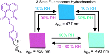Graphical abstract: Three-state fluorescence hydrochromism of a fluorophore–spacer–receptor system with variations in relative humidity