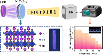 Graphical abstract: Highly efficient copper-based halide single crystals with violet emission for visible light communication
