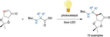 Graphical abstract: Photoreductive β-aminoalkylation with amino acids affords functionalized γ-aminoketones for nucleoside mimics