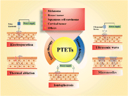 Graphical abstract: Research progress of physical transdermal enhancement techniques in tumor therapy