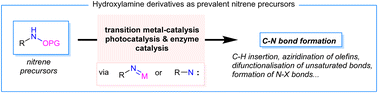Graphical abstract: Nitrene transfer reaction with hydroxylamine derivatives
