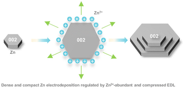 Graphical abstract: A dendrite-free and anticaustic Zn anode enabled by high current-induced reconstruction of the electrical double layer