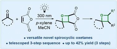 Graphical abstract: Synthesis of functionalized spirocyclic oxetanes through Paternò–Büchi reactions of cyclic ketones and maleic acid derivatives