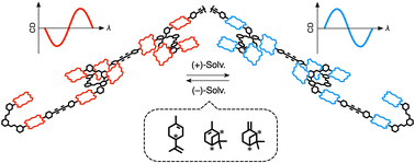 Graphical abstract: Supramolecular chiral sensing by supramolecular helical polymers