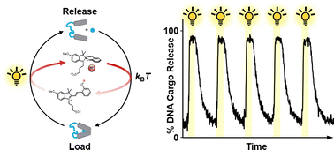 Graphical abstract: Controlling DNA nanodevices with light-switchable buffers