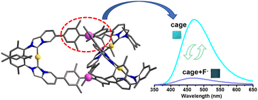 Graphical abstract: Synthesis of triarylborane-centered N-heterocyclic carbene cages with tunable photophysical properties