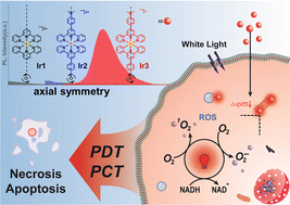 Graphical abstract: Axisymmetric bis-tridentate Ir(iii) photoredox catalysts for anticancer phototherapy under hypoxia