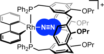Graphical abstract: Synthesis of a rhodium(iii) dinitrogen complex using a calix[4]arene-based diphosphine ligand