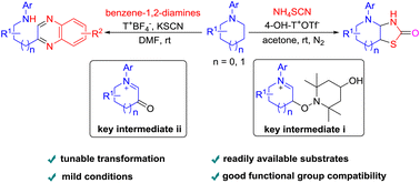 Graphical abstract: Oxoammonium salt-promoted diverse functionalization of saturated cyclic amines with dinucleophiles