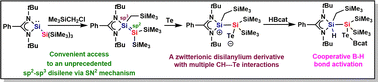 Graphical abstract: A zwitterionic disilanylium from an unsymmetrical disilene