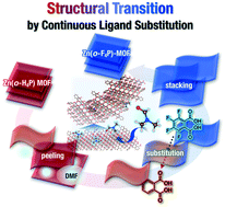 Graphical abstract: Unusual ligand substitution of a metal–organic framework with distorted metal–ligand coordination