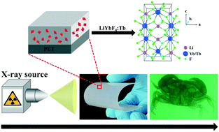 Graphical abstract: Terbium-doped LiYbF4 nanomaterial-based scintillator responding to X-rays with high-resolution imaging applications