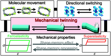 Graphical abstract: Mechanical twinning in organic crystals