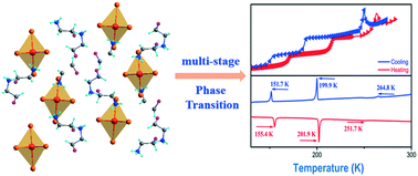 Graphical abstract: Tunable hybrid perovskites with a narrow bandgap and multistage phase transition properties: 2,2-difluoroethylamine·antimony hexabromide