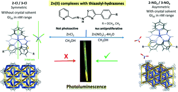 Graphical abstract: Zn(ii) complexes with thiazolyl–hydrazones: structure, intermolecular interactions, photophysical properties, computational study and anticancer activity