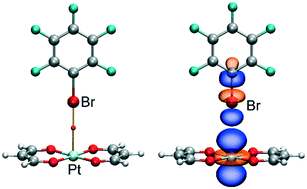 Graphical abstract: On the energetic stability of halogen bonds involving metals: implications in crystal engineering