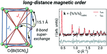 Graphical abstract: Magnetic order in a metal thiocyanate perovskite-analogue